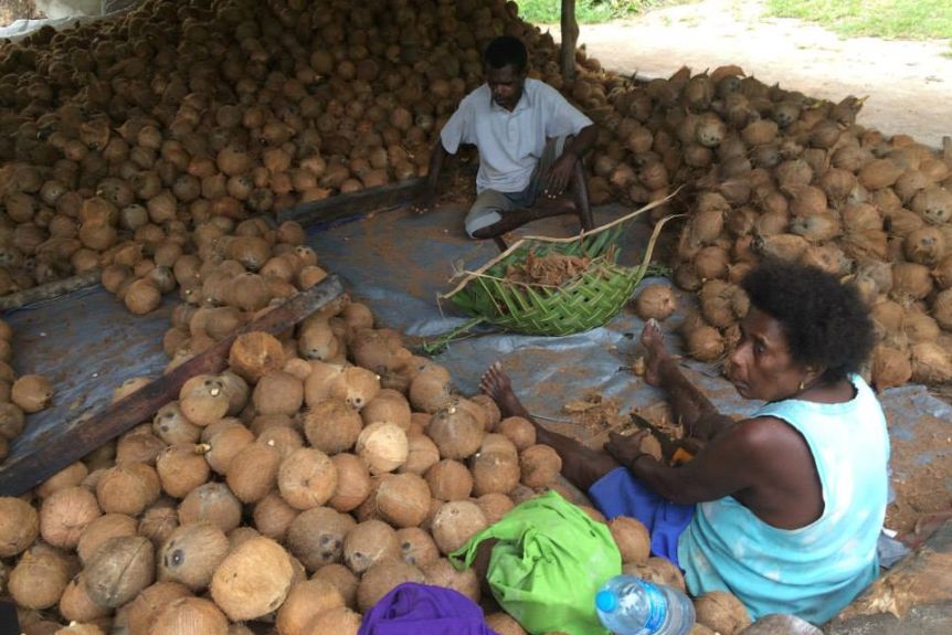 Preparing coconuts for Direct Micro Expelling — an Australian-made system bringing subsistence farmers into the world of commerce.